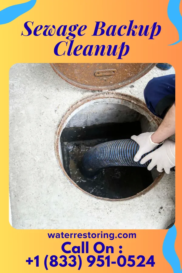 Sewage Backup Cleanup in Pleasant View, UT
