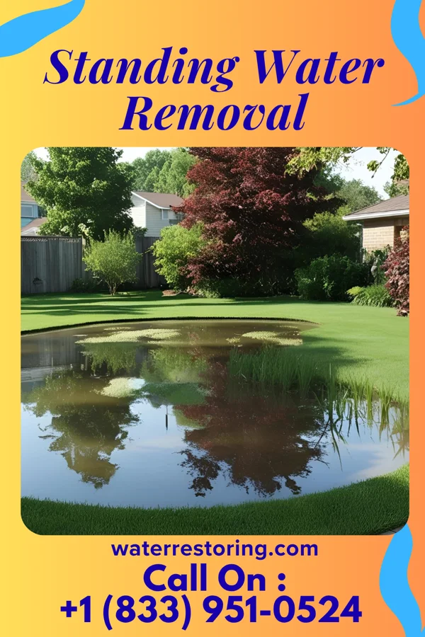 Standing Water Removal in Pleasant View, UT